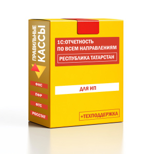 Отчетность_ИП_Республика Татарстан
