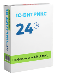Профессиональный (1 мес.)
